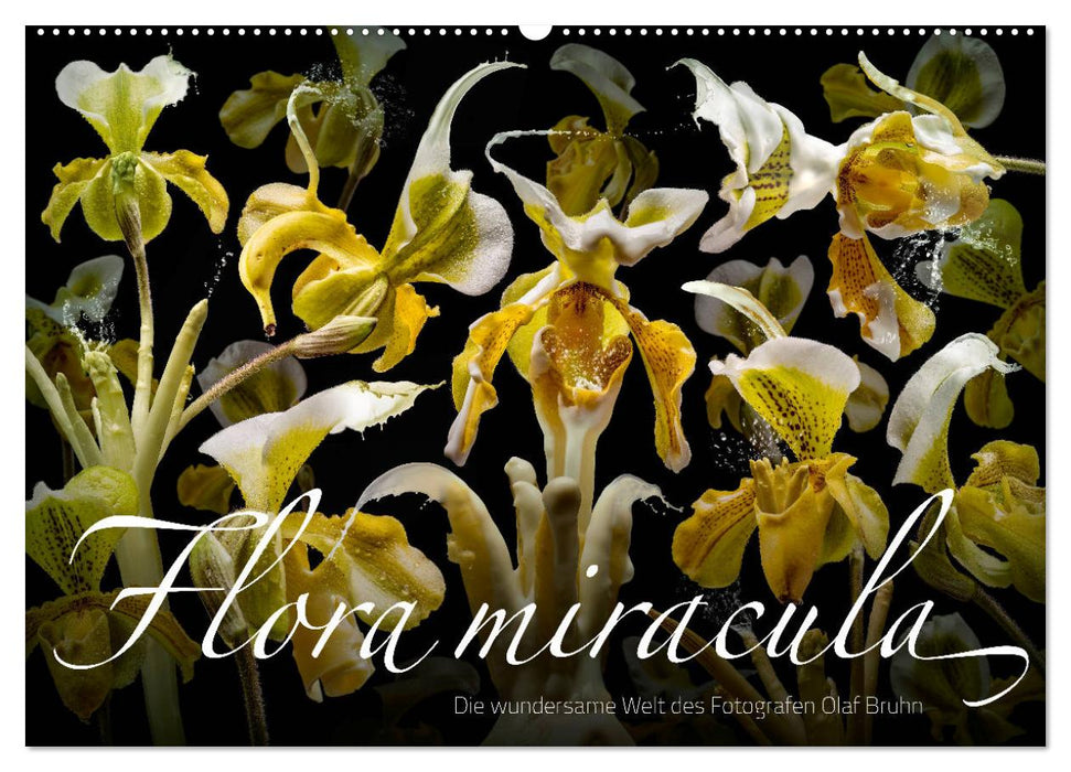 Flora miracula - Die wundersame Welt des Fotografen Olaf Bruhn (CALVENDO Wandkalender 2025)