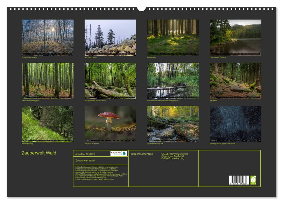 Zauberwelt Wald (CALVENDO Wandkalender 2025)