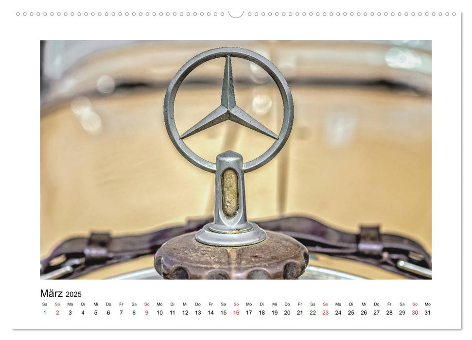 Oldtimer - Kunst am Kühlergrill (CALVENDO Premium Wandkalender 2025)