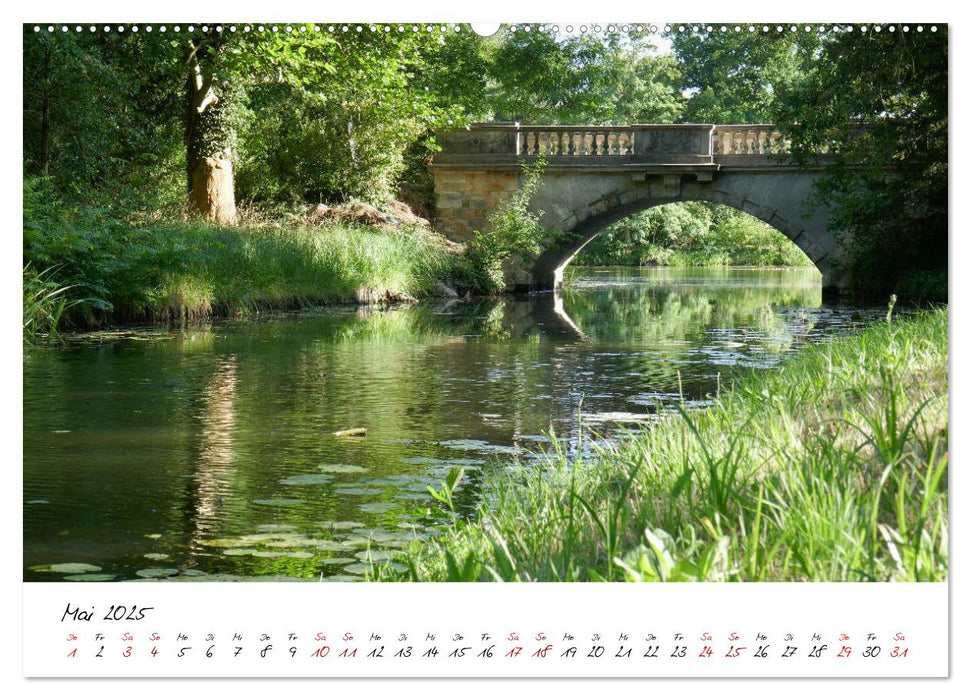 rund um Dessau (CALVENDO Premium Wandkalender 2025)