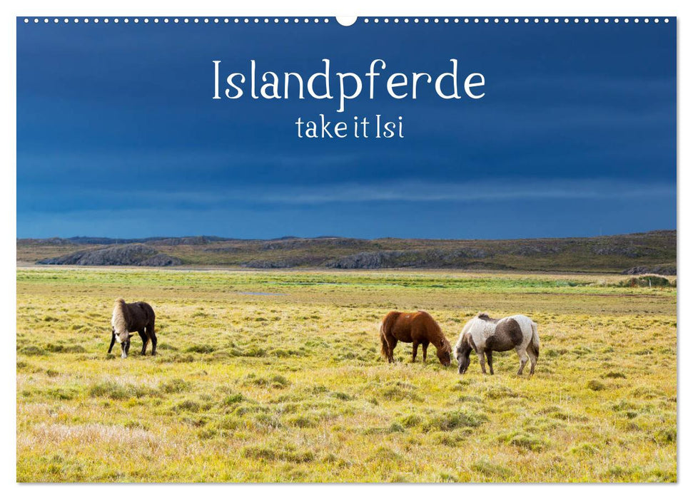 Islandpferde take it Isi (CALVENDO Wandkalender 2025)