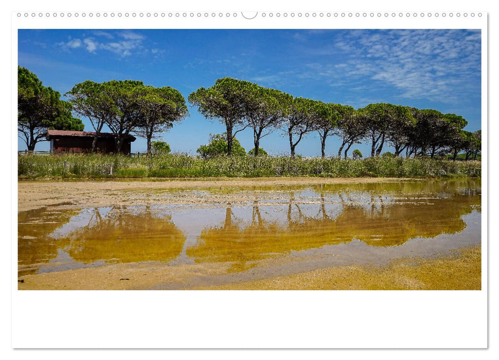 Sardinien ... wenn eine Reise die Seele berührt (CALVENDO Wandkalender 2025)