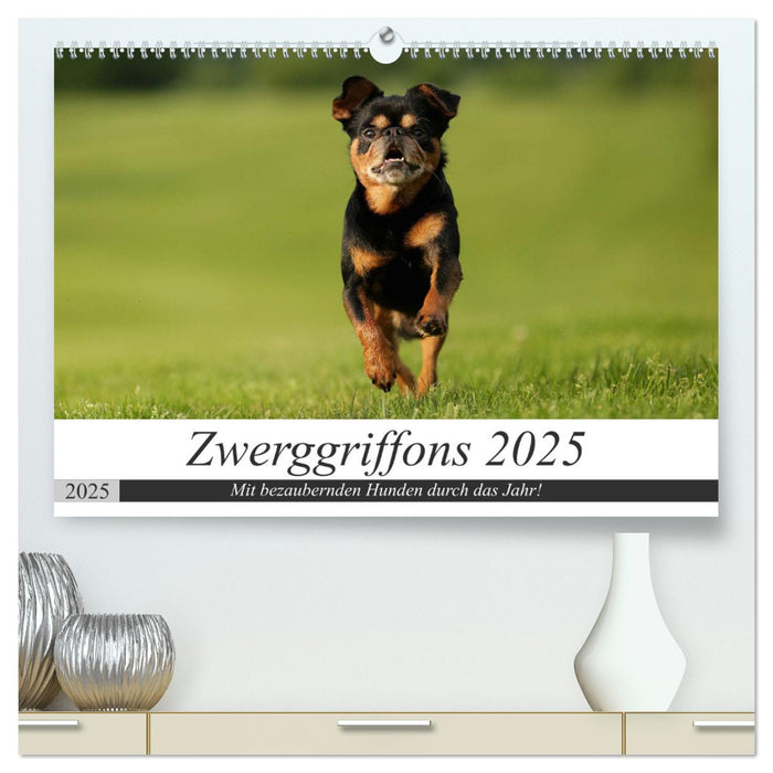 Zwerggriffons 2025 (CALVENDO Premium Wandkalender 2025)