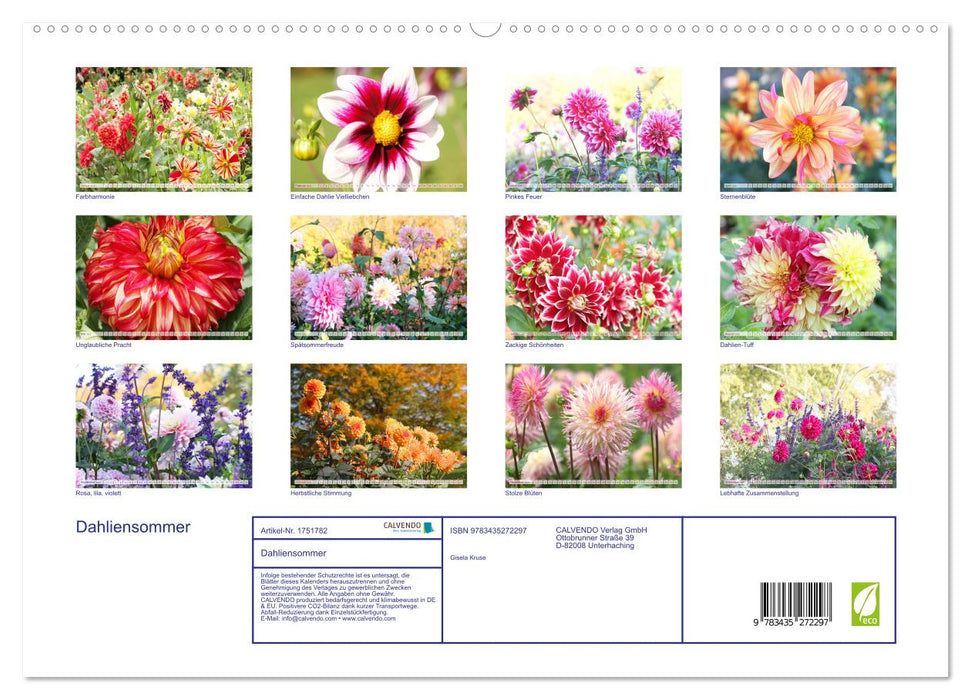 Dahliensommer (CALVENDO Premium Wandkalender 2025)