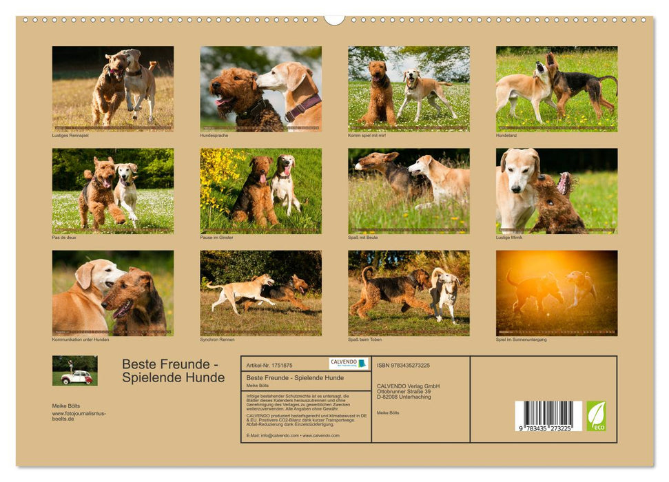 Beste Freunde - Spielende Hunde (CALVENDO Premium Wandkalender 2025)