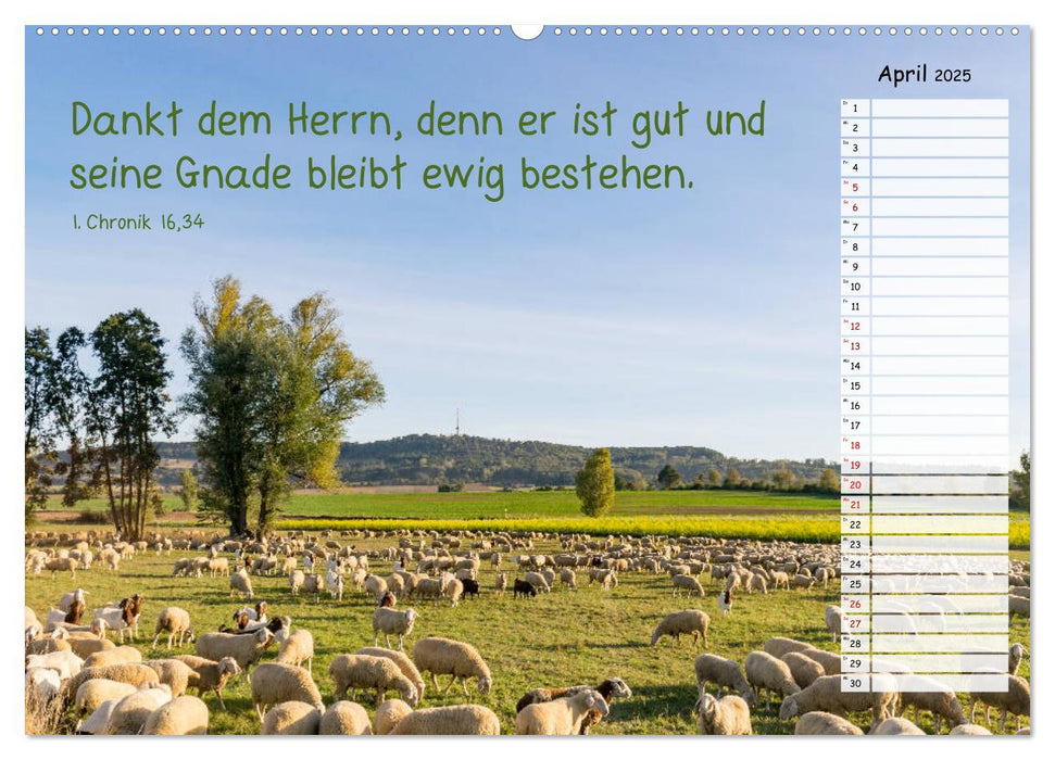 Heimat Hesselberg (CALVENDO Premium Wandkalender 2025)