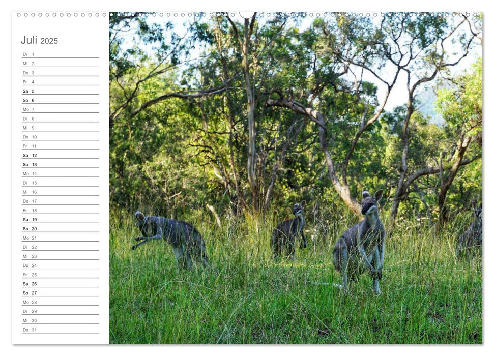 Australien - faszinierende Ostküste (CALVENDO Premium Wandkalender 2025)