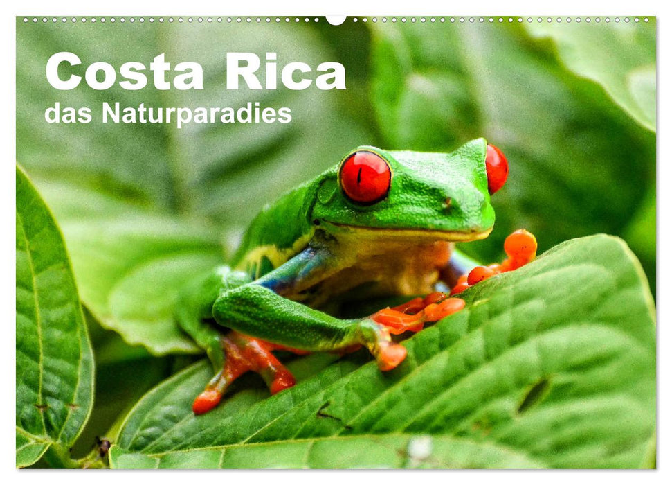 Costa Rica - das Naturparadies (CALVENDO Wandkalender 2025)