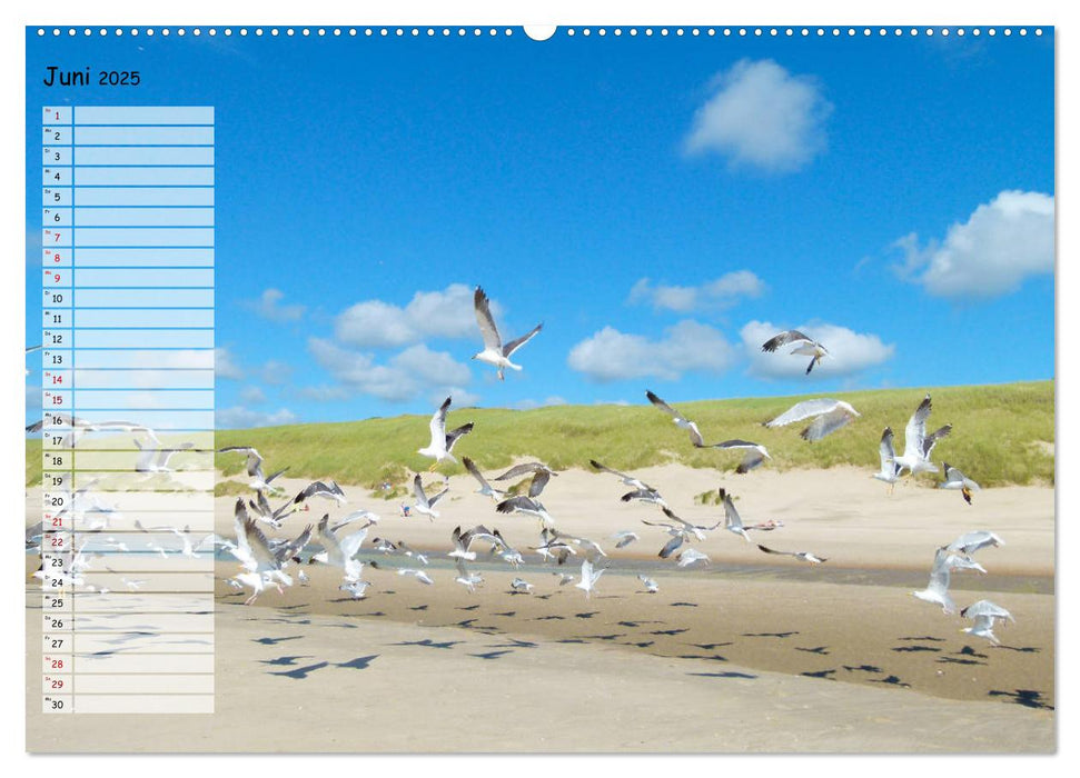 Egmond aan Zee (CALVENDO Wandkalender 2025)