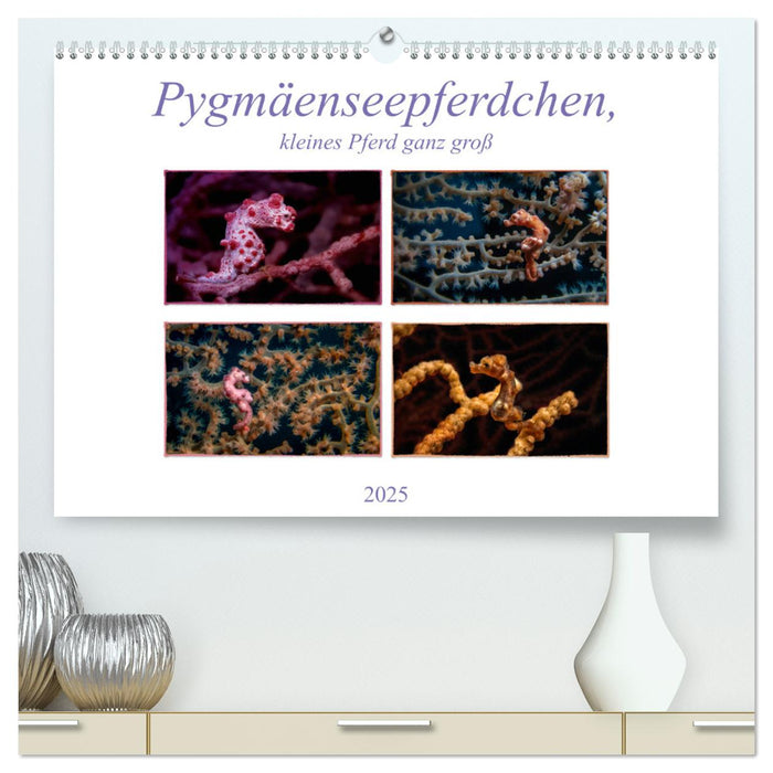 Pygmäenseepferdchen, kleines Pferd ganz groß (CALVENDO Premium Wandkalender 2025)