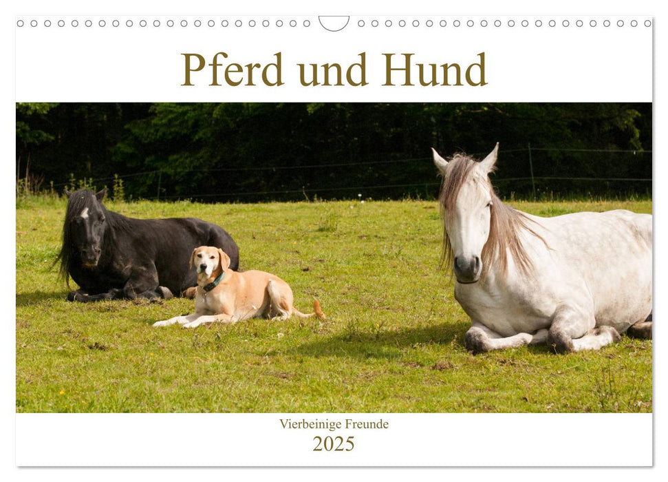 Pferd und Hund - Vierbeinige Freunde (CALVENDO Wandkalender 2025)