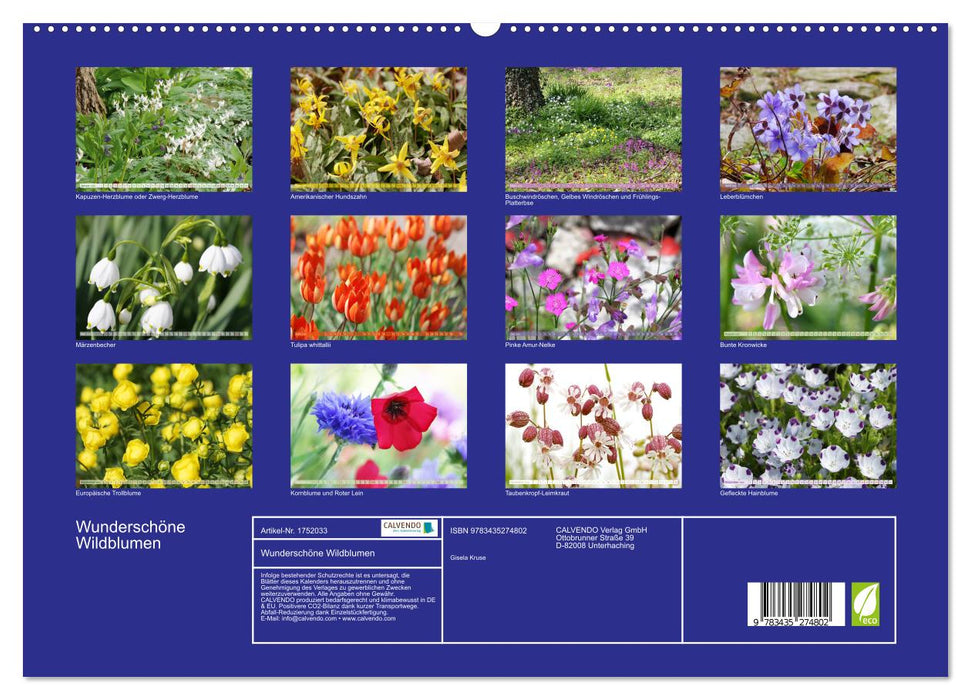 Wunderschöne Wildblumen (CALVENDO Premium Wandkalender 2025)