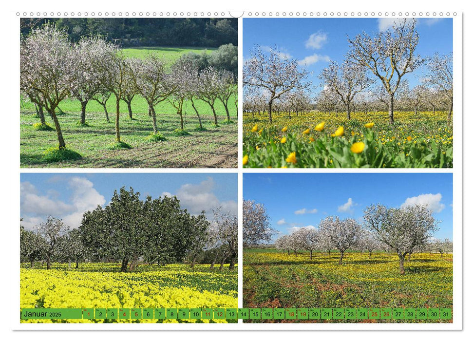 Mallorca, da will ich hin (CALVENDO Wandkalender 2025)