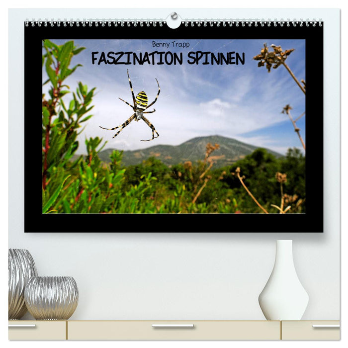 Faszination Spinnen (CALVENDO Premium Wandkalender 2025)