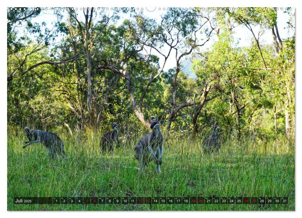 Australien (CALVENDO Premium Wandkalender 2025)