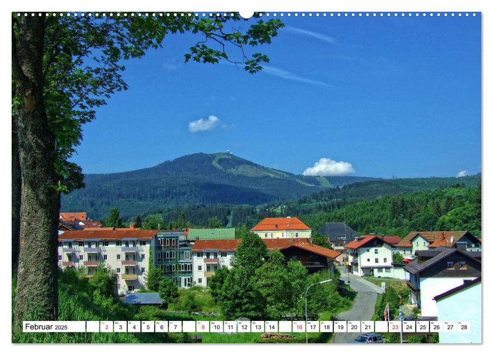 Grosser Arberblick auf Bayerisch Eisenstein (CALVENDO Wandkalender 2025)