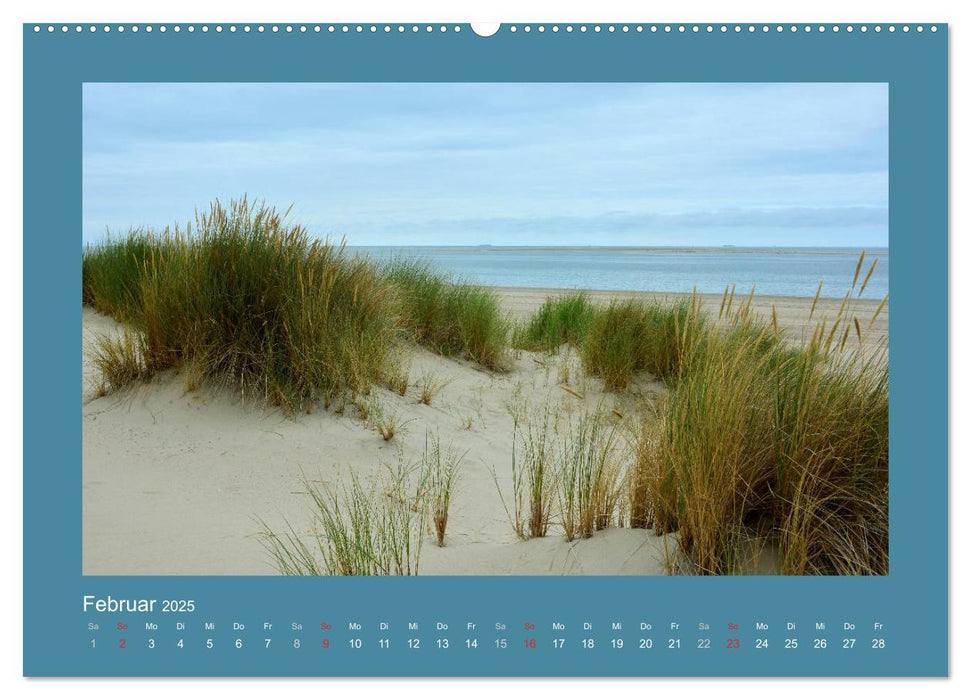 Sanddünen an der Nordsee in den Niederlanden (CALVENDO Wandkalender 2025)