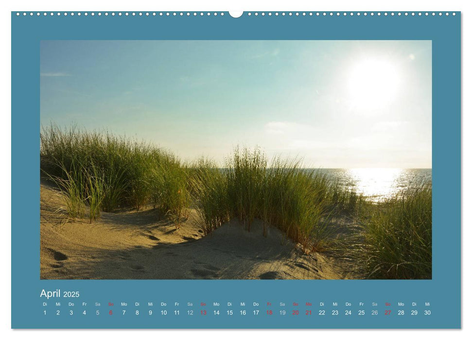 Sanddünen an der Nordsee in den Niederlanden (CALVENDO Wandkalender 2025)