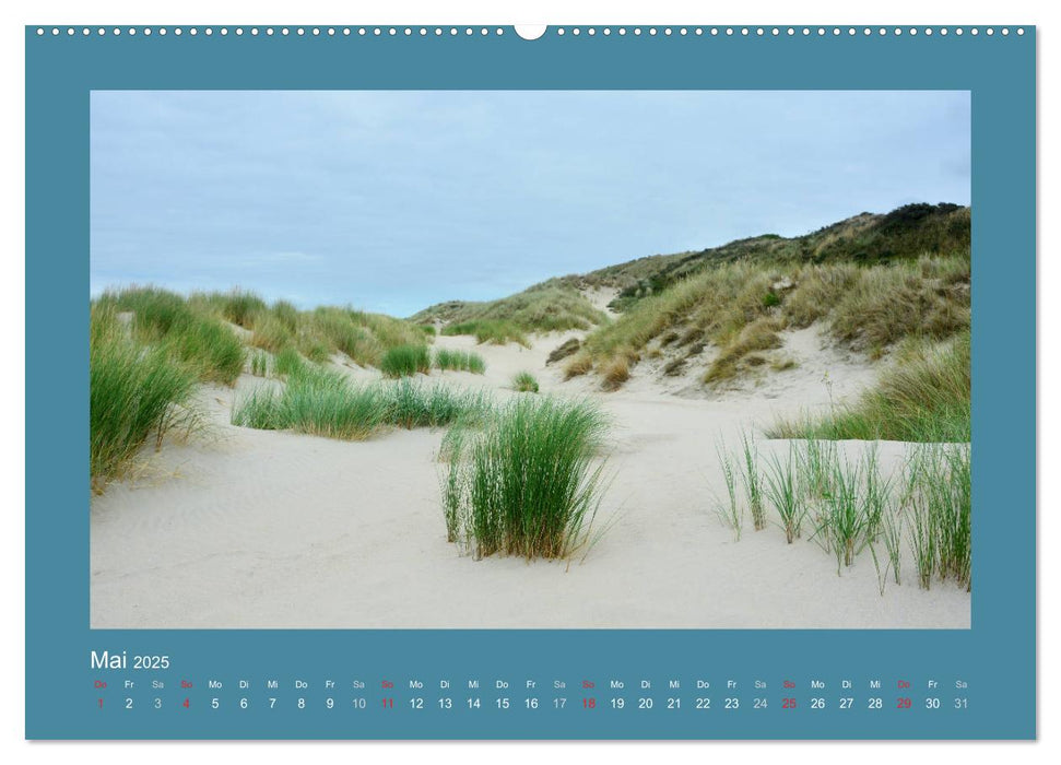 Sanddünen an der Nordsee in den Niederlanden (CALVENDO Wandkalender 2025)