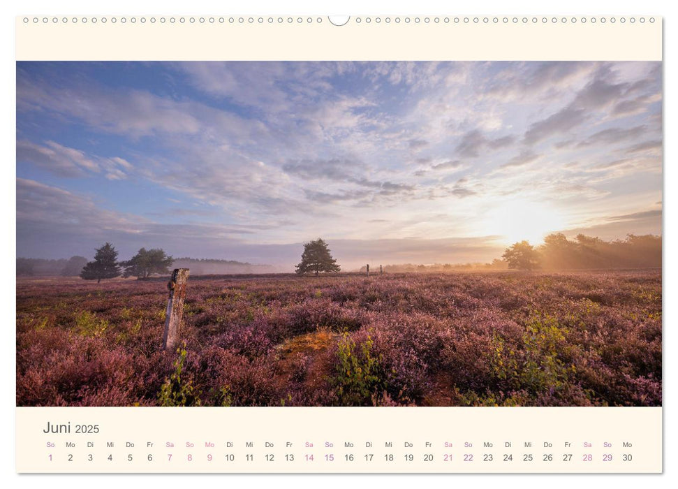 Mehlinger Heide (CALVENDO Premium Wandkalender 2025)