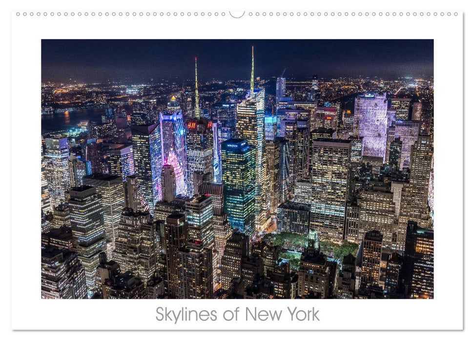 Skylines of New York (CALVENDO Wandkalender 2025)