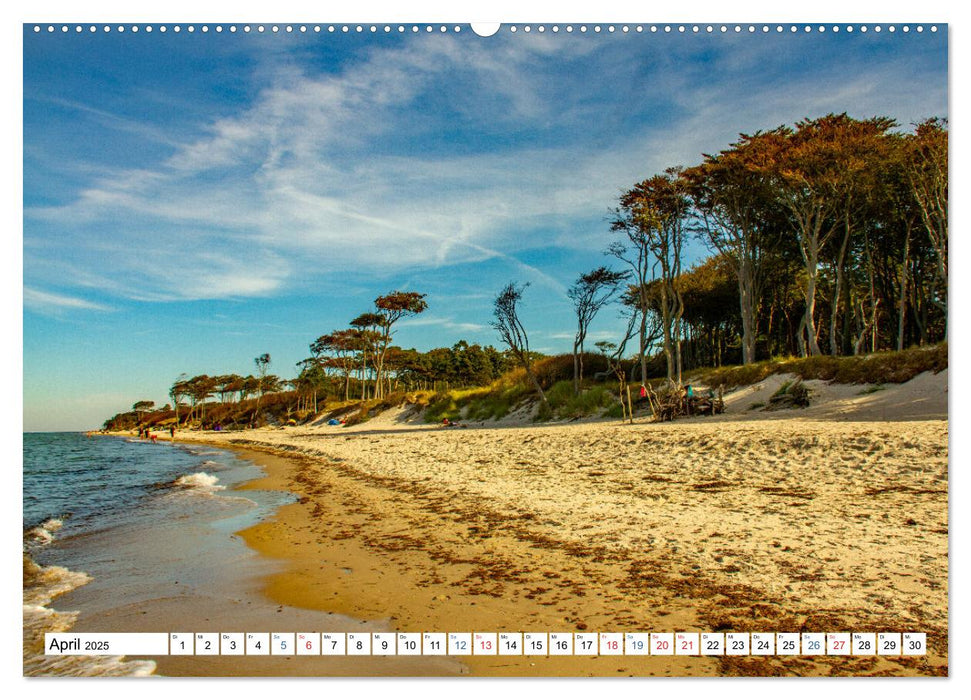 Prerow auf dem Darß - Sehnsuchtsort an der Ostsee (CALVENDO Premium Wandkalender 2025)