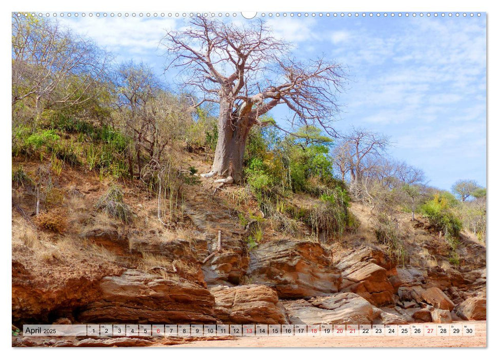 Tansania. Impressionen aus Ostafrika (CALVENDO Premium Wandkalender 2025)