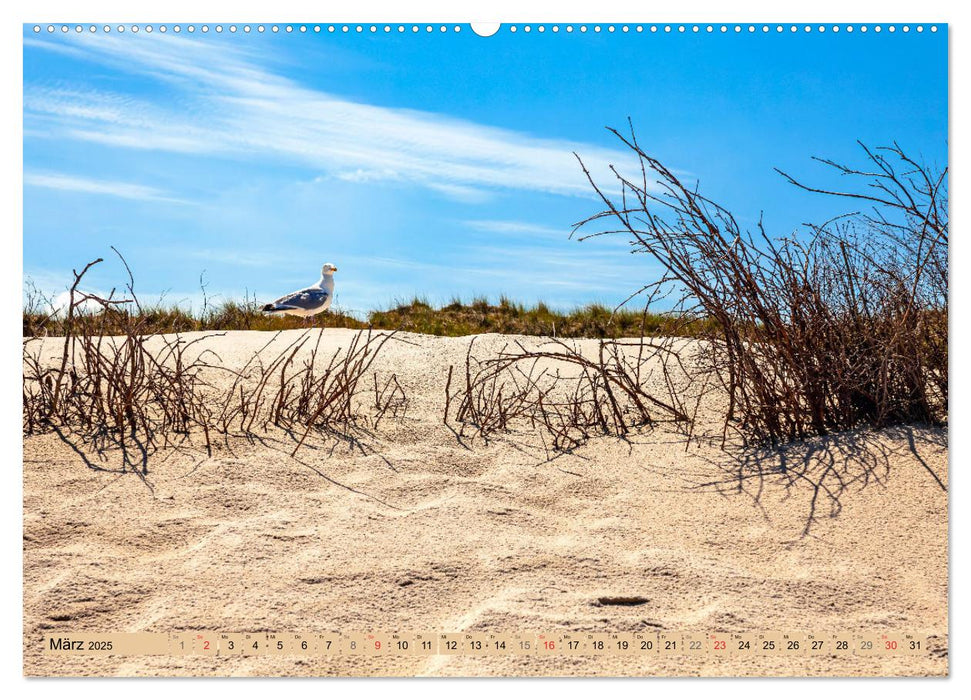 Norderney Spaziergang (CALVENDO Premium Wandkalender 2025)