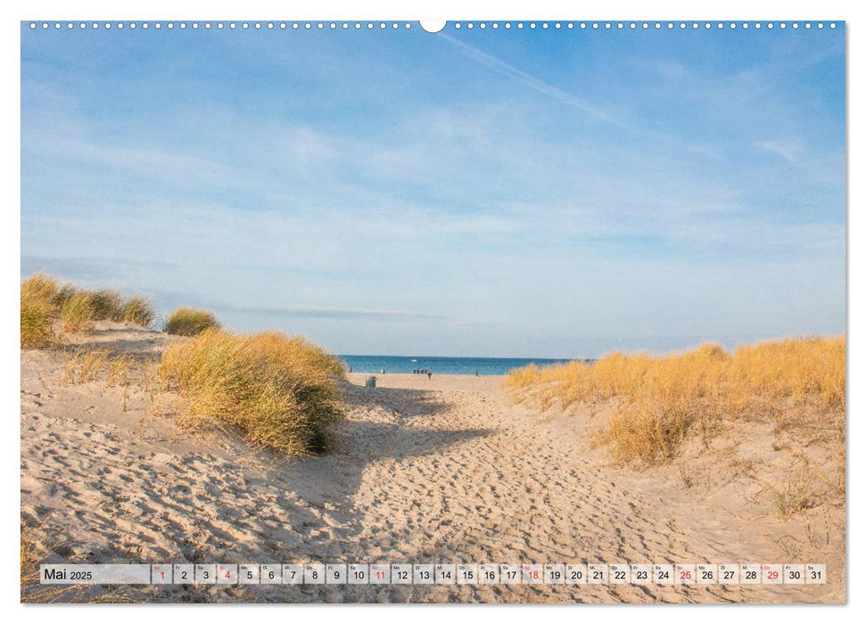 Hansestadt Rostock Historischer Stadtkern bis Warnemünde (CALVENDO Premium Wandkalender 2025)