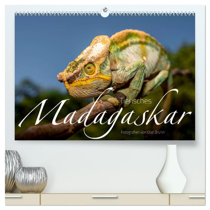 Tierisches Madagaskar (CALVENDO Premium Wandkalender 2025)