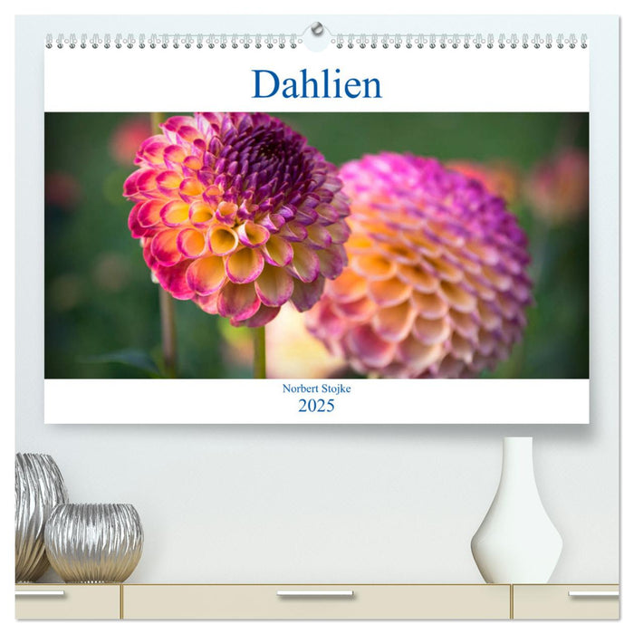 Dahlien - Blumenwunder der Natur (CALVENDO Premium Wandkalender 2025)