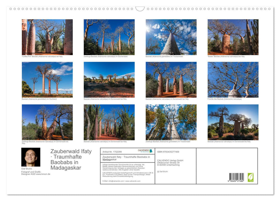 Zauberwald Ifaty · Traumhafte Baobabs in Madagaskar (CALVENDO Wandkalender 2025)