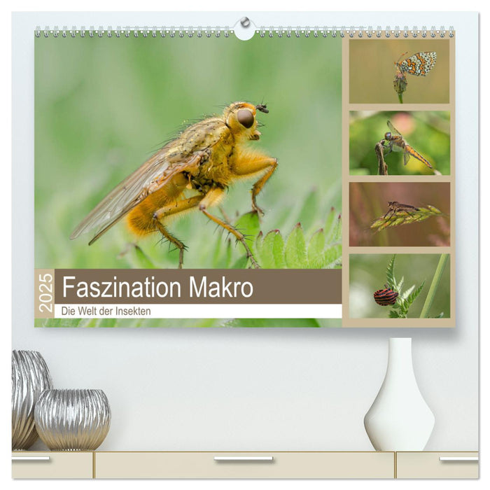 Faszination Makro - Die Welt der Insekten (CALVENDO Premium Wandkalender 2025)