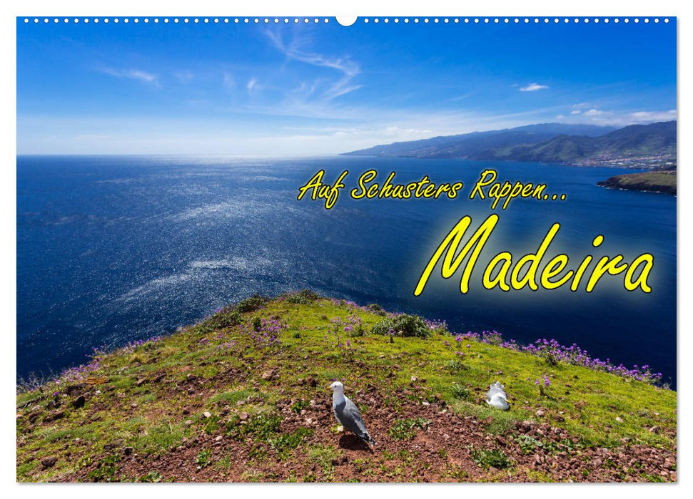 Auf Schusters Rappen... Madeira (CALVENDO Wandkalender 2025)