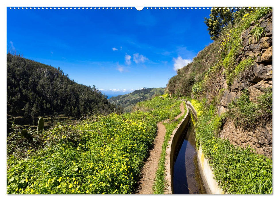 Auf Schusters Rappen... Madeira (CALVENDO Wandkalender 2025)