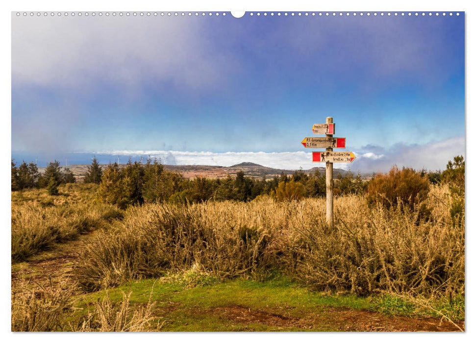 Auf Schusters Rappen... Madeira (CALVENDO Wandkalender 2025)