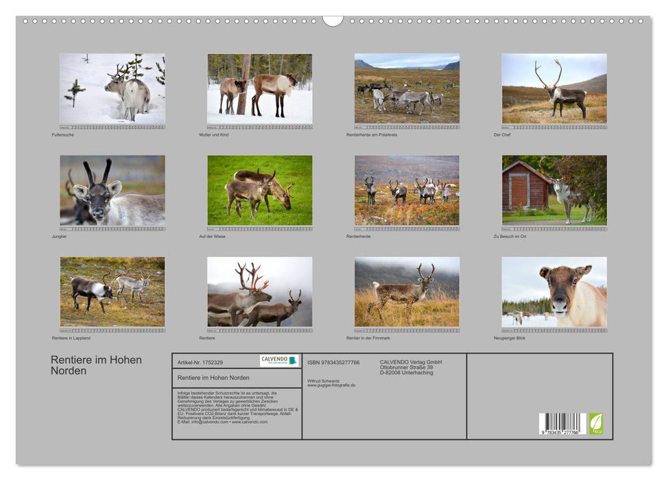 Rentiere im Hohen Norden (CALVENDO Wandkalender 2025)