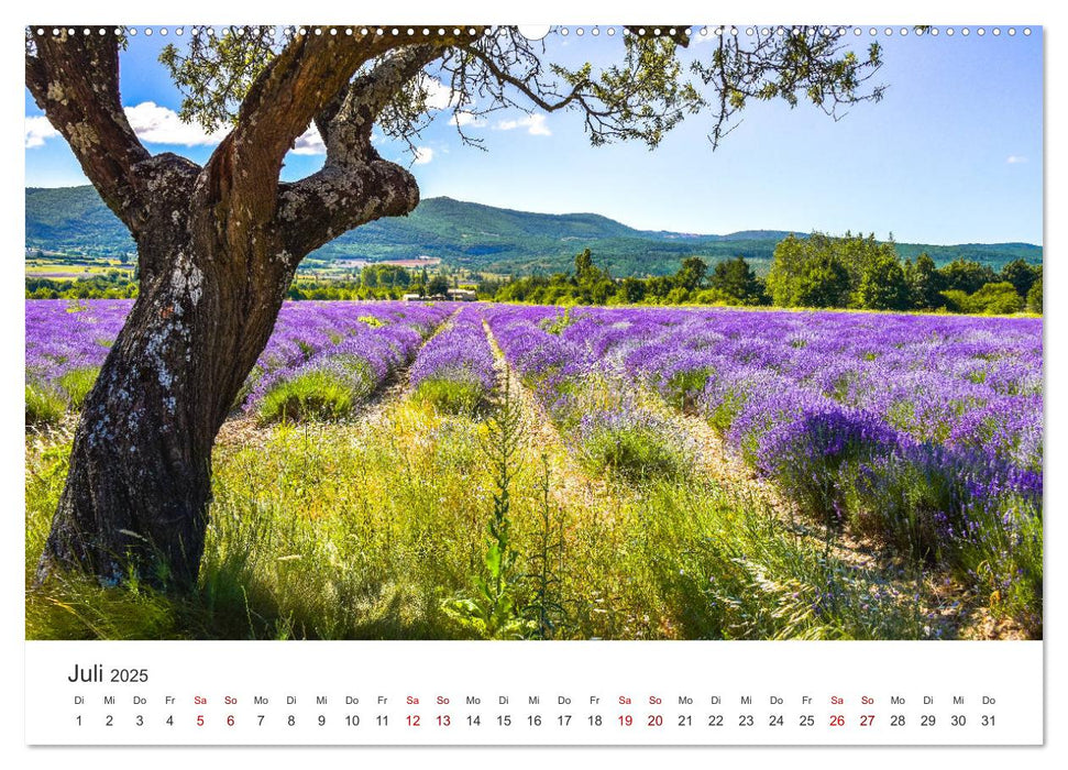 Träume aus Lavendel, Provence in Rosa bis Lila (CALVENDO Premium Wandkalender 2025)