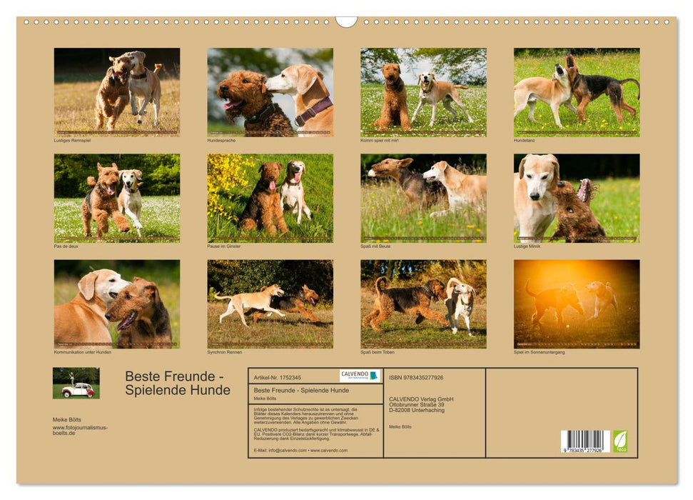 Beste Freunde - Spielende Hunde (CALVENDO Wandkalender 2025)