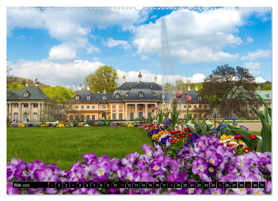 Sachsen`s Glanz (CALVENDO Premium Wandkalender 2025)