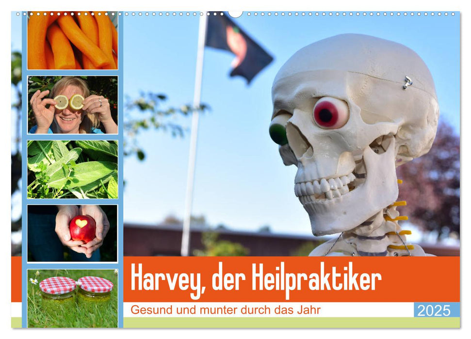 Harvey, der Heilpraktiker (CALVENDO Wandkalender 2025)