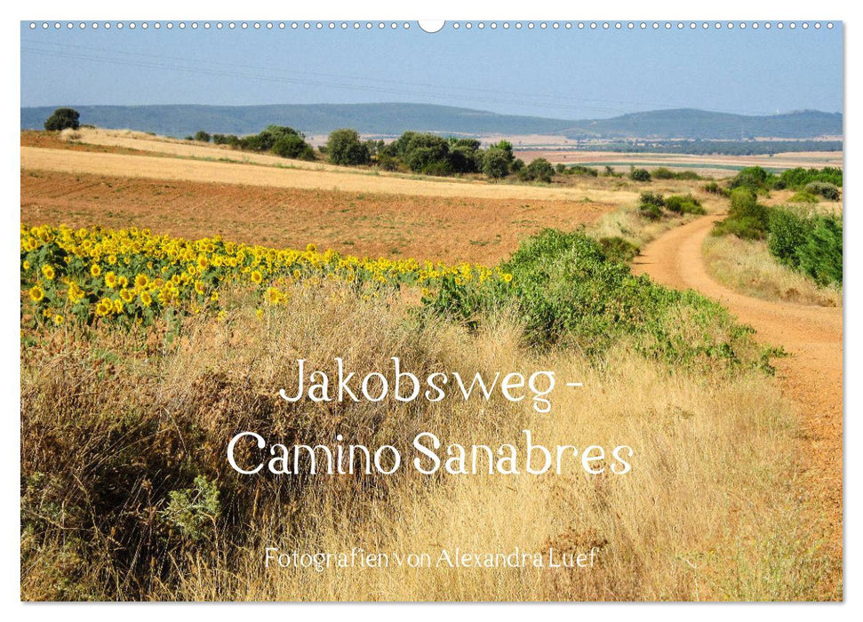 Jakobsweg - Camino Sanabres (CALVENDO Wandkalender 2025)