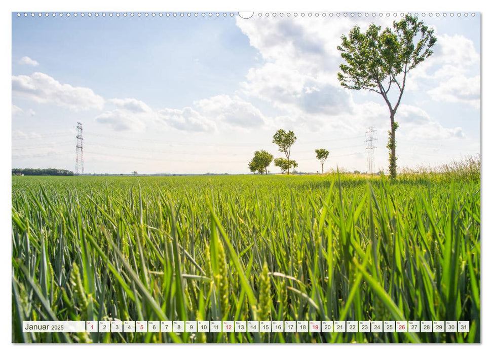 Wiesen und Felder (CALVENDO Premium Wandkalender 2025)