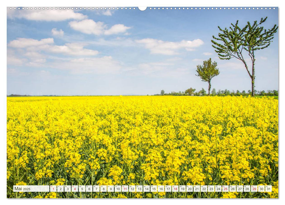 Wiesen und Felder (CALVENDO Premium Wandkalender 2025)