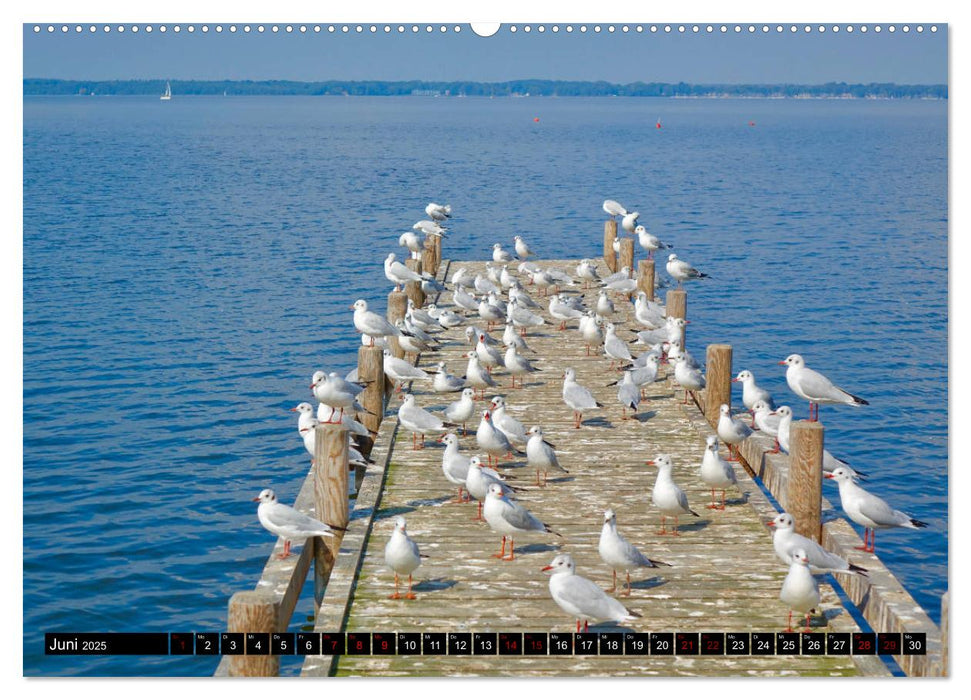 Das Meer bei Steinhude (CALVENDO Premium Wandkalender 2025)