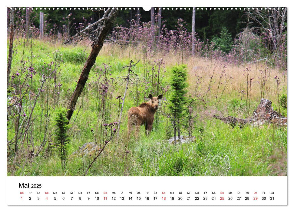 Schweden - Värmland (CALVENDO Premium Wandkalender 2025)