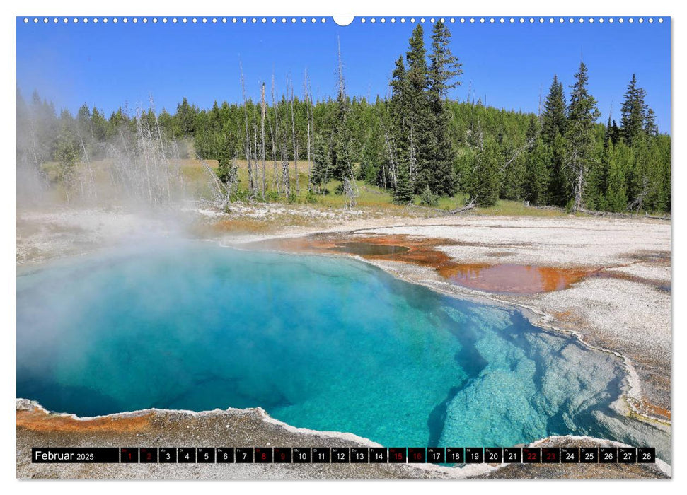 Wunderwelt Yellowstone 2025 (CALVENDO Premium Wandkalender 2025)