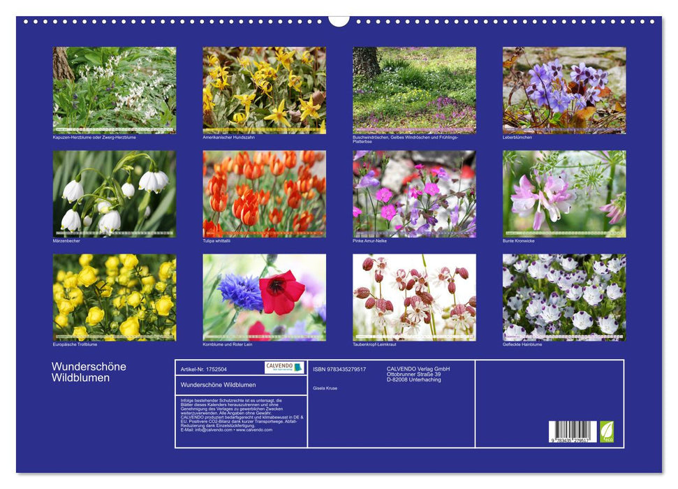 Wunderschöne Wildblumen (CALVENDO Wandkalender 2025)