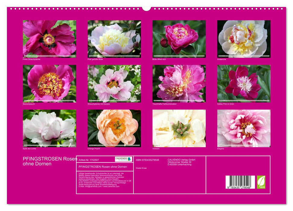 PFINGSTROSEN Rosen ohne Dornen (CALVENDO Premium Wandkalender 2025)