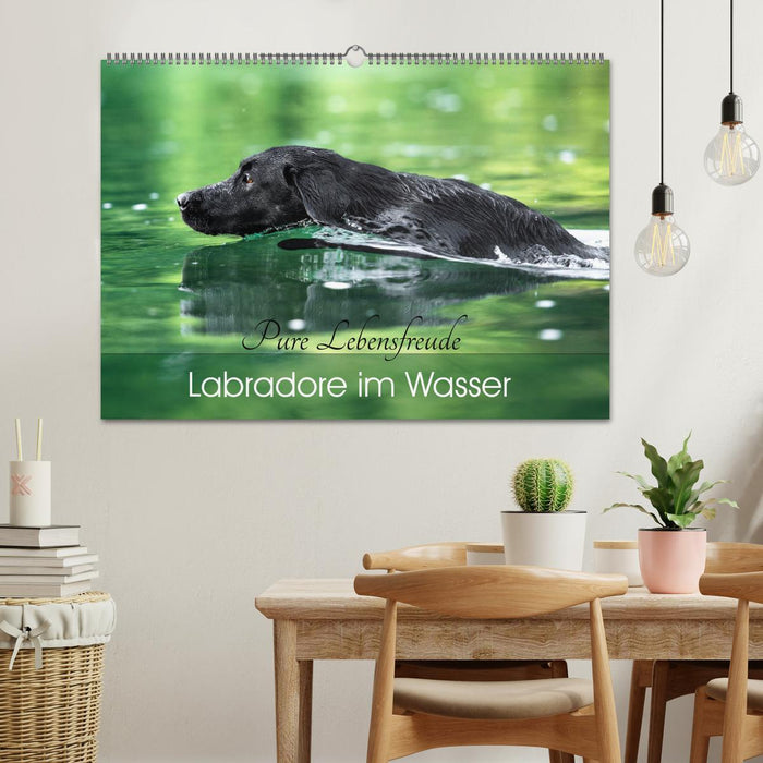 Labradore im Wasser (CALVENDO Wandkalender 2025)